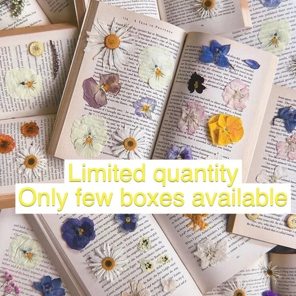 Sister Jane Cottagecore aesthetic Mystery Box - Picture 10 of 11